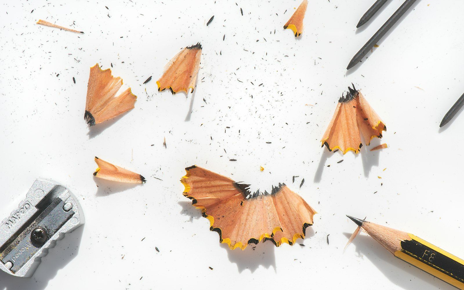Freshly sharpened pencils and curls of pencil shavings